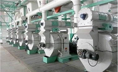 2000-5000kg / jam Otomatis Bahan Bakar Alfalfa Hay Keripik Sekam Padi Kulit Kacang Tanah Lini Produksi Pelet Kayu Serbuk Gergaji