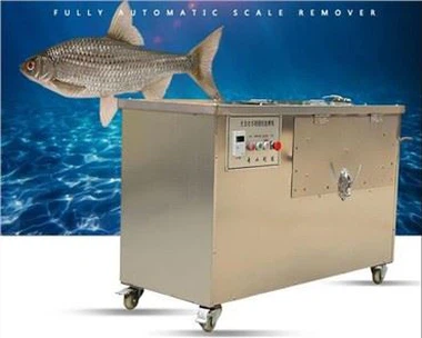 Mesin Penghilang Sisik Ikan Stainless Steel Fish Descaler